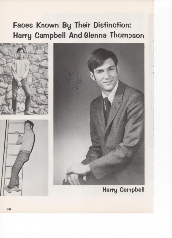 Most Handsome - Harry Campbell